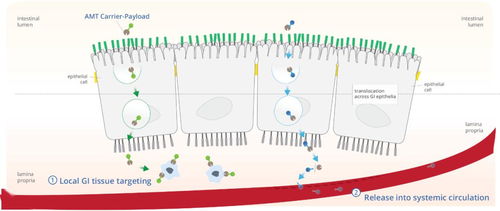 拟IPO募资1亿美元，这家公司如何通过口服生物制品与网络技术开发重塑医疗健康未来？